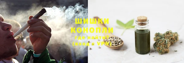 сатива Волгодонск
