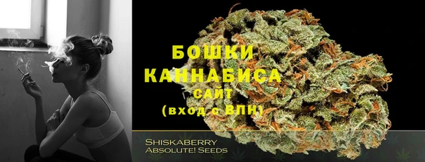 ПСИЛОЦИБИНОВЫЕ ГРИБЫ Каменка