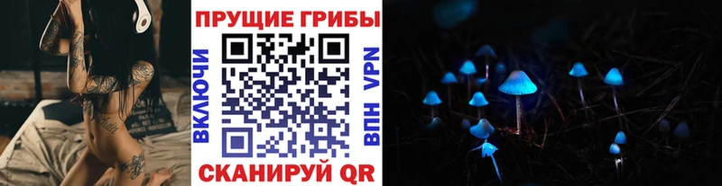 Псилоцибиновые грибы Psilocybe  Кыштым 