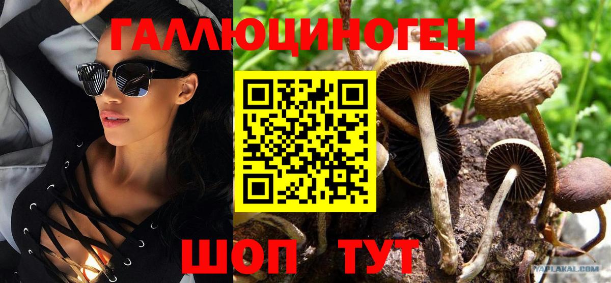 Галлюциногенные грибы прущие грибы  цена   Кыштым  Галлюциногенные грибы Cubensis 